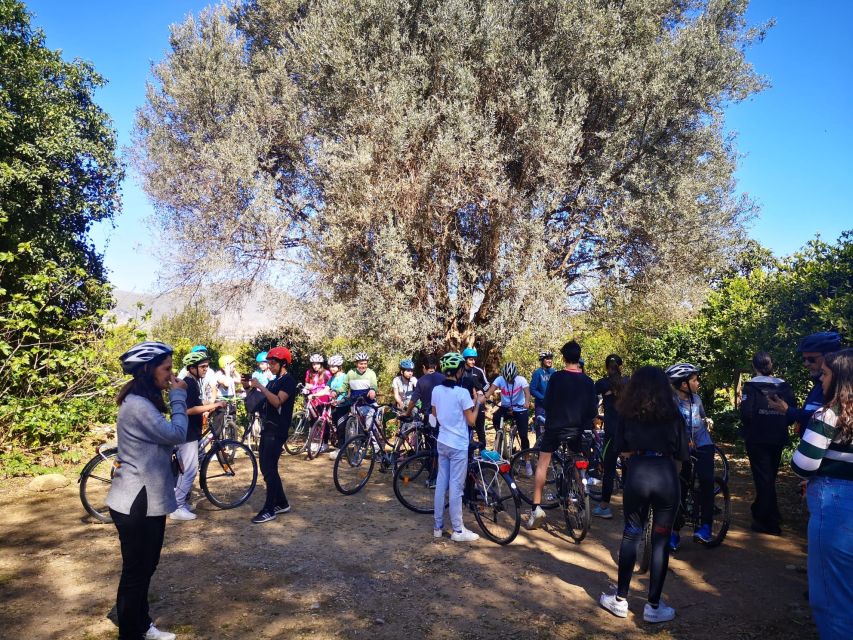 a PRIVATE ride of Favorita Park and Mondello - Cycling Palermo’s Green Lung Toward the Coast