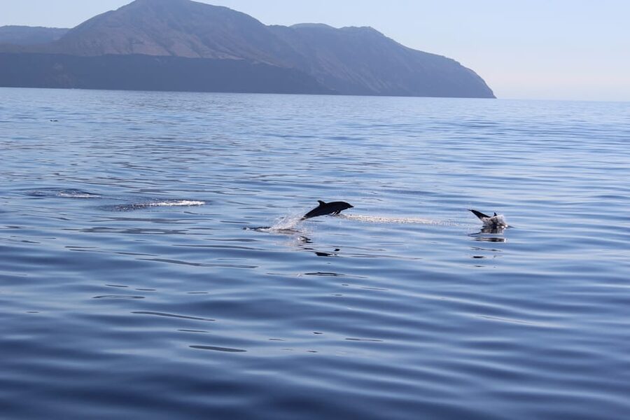 Capo D'Orlando: Salina, Panarea, Stromboli Tour with Boat - Price and Value: Is $112.15 Worth It?