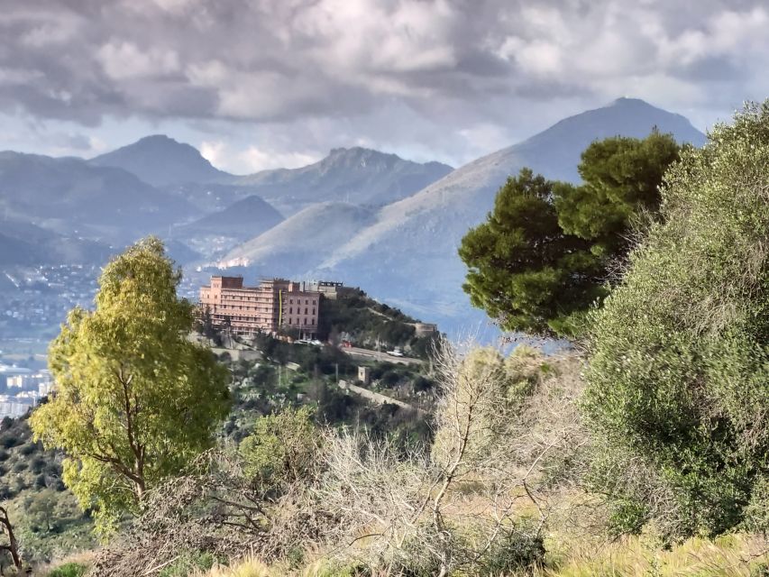 Discover MtPellegrino with a PRIVATE Guided Bike Tour - Price, duration, and what $106 really buys you