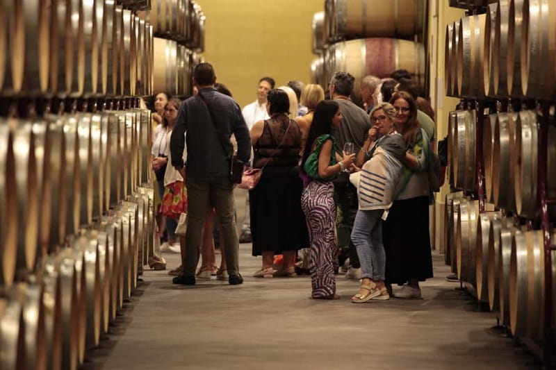 Duca di Salaparuta: Tour of the winery and wine tastings - The state-of-the-art tasting room: what the guide actually covers