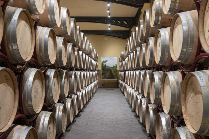 Duca di Salaparuta: Tour of the winery and wine tastings - Price and value: is $45.55 worth it?