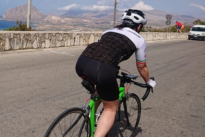 Full Carbon Road Bike Rental - Price and value: $72.08 for carbon, tools, and real support