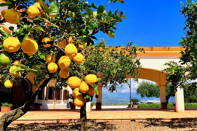 Leave the City Behind Tour with Guide Driver starts from Palermo - Key highlights worth planning for