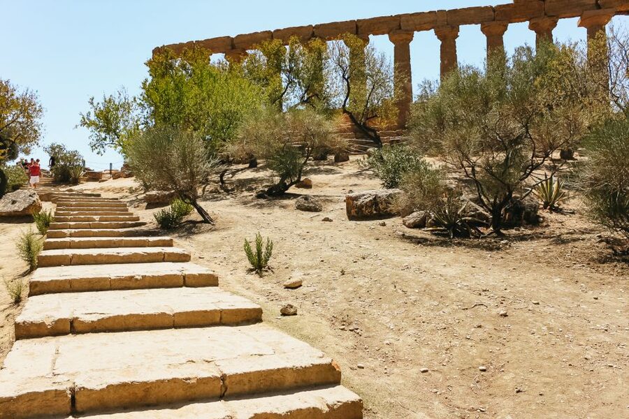 Palermo: Agrigento and the Valley of the Temples Day Tour - Price and logistics: what $77 really buys (and what it doesn’t)