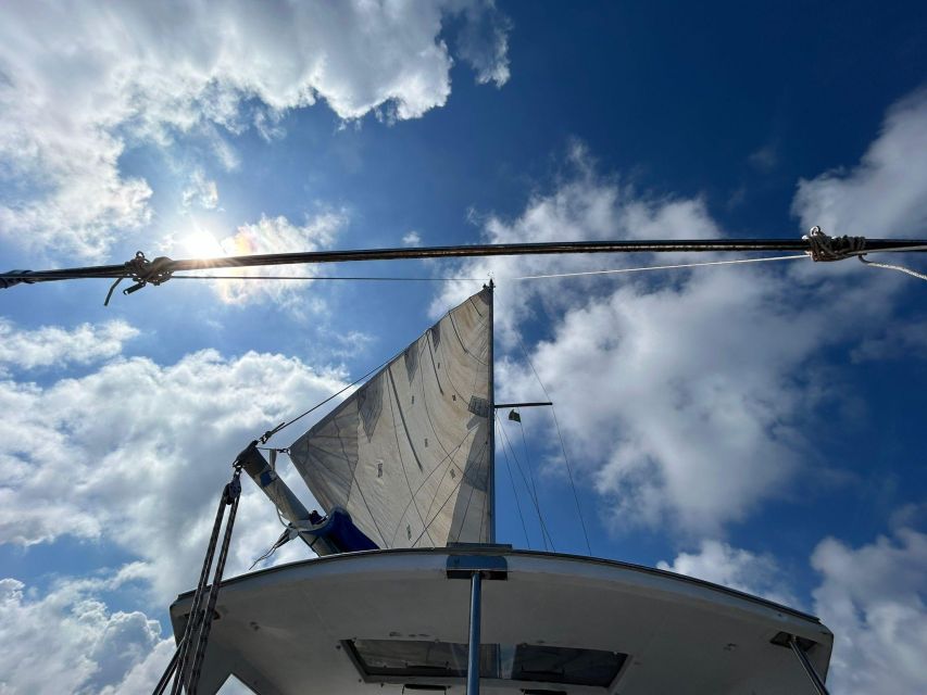 Palermo: Full-Day Snorkeling Boat Tour with Lunch and Wine - Why Palermo’s coast is a smart choice for snorkeling