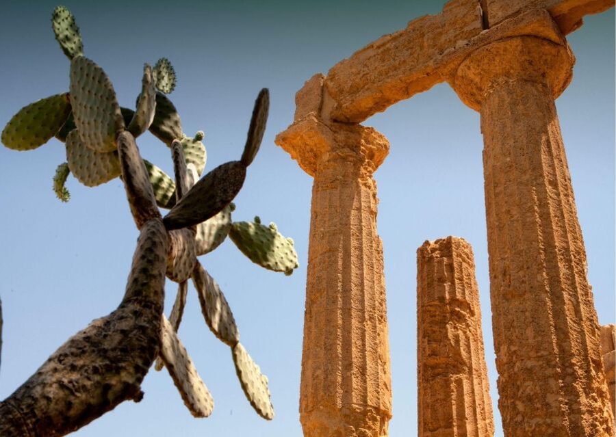 Palermo to Siracusa: stop al Valley of Temples & Roman Villa - The drive to Siracusa: arriving with time to breathe