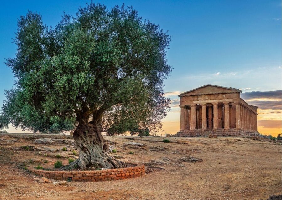 Palermo to Siracusa: stop al Valley of Temples & Roman Villa - Price and value: what you’re paying for (and what you’re not)