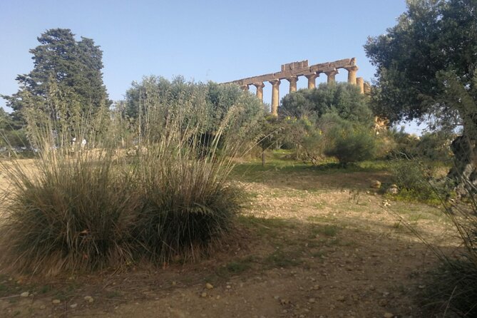 Private Tour to Segesta, Erice and Wine Tasting in Marsala - Castellammare del Golfo breakfast: quick stop, real flavor
