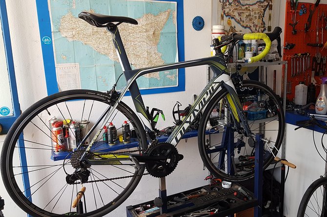 Rent road bike - Carbon or aluminum: choosing the right feel for your day