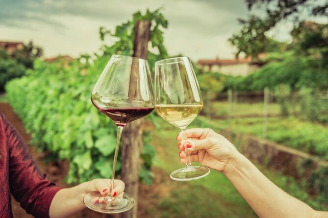 Sicilian Winery Tour with Wine Tasting from Palermo - Transport and timing from Palermo: comfortable, not complicated