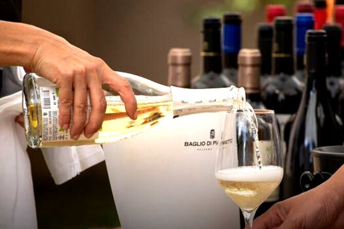 Sicilian Winery Tour with Wine Tasting from Palermo - Who this Sicilian winery tour is best for