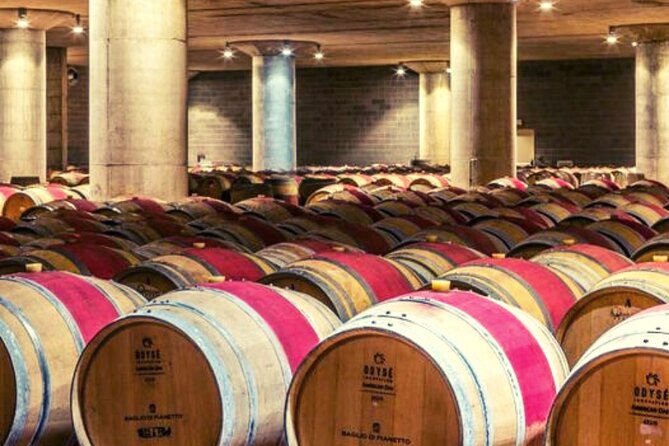 Sicilian Winery Tour with Wine Tasting from Palermo - The vineyard and winery walk: how you go from grapes to bottles