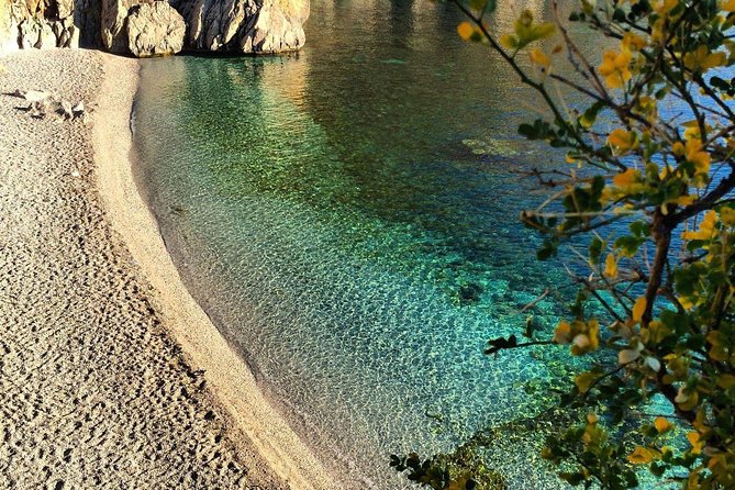 Transfer from Palermo Airport to Marina di Portorosa, Furnari - Price and Value: What You’re Really Paying For